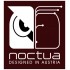 Noctua