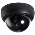 Analog security cameras